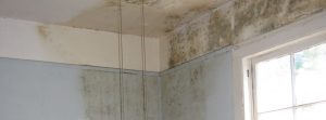 Damp Proofing Sunderland